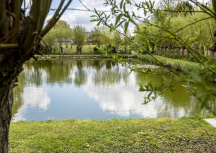 Water in het landschap