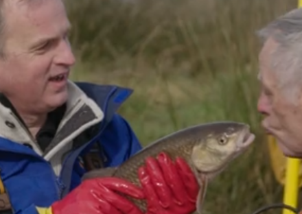 Arnout en Jos in de Warmbeek