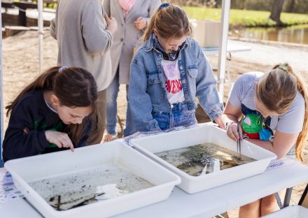 Slotmoment vispassage Laermolen Hoogstraten