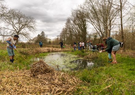 Watersafari in Halle