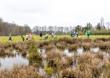 Amfibieënwandeling in Maldegem