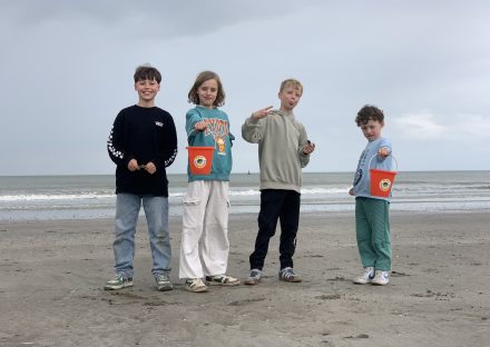 Schelpenteldag © Annelies Tavernier - VLIZ