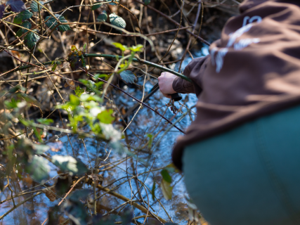 H2Operatie Kantvelde