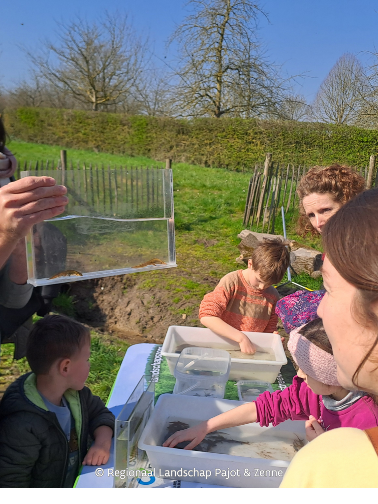 © Regionaal Landschap Pajot & Zenne