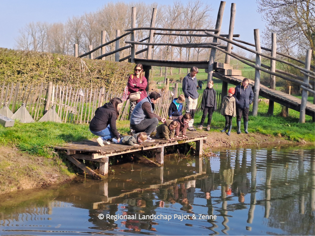 Op zoek naar waterdiertjes