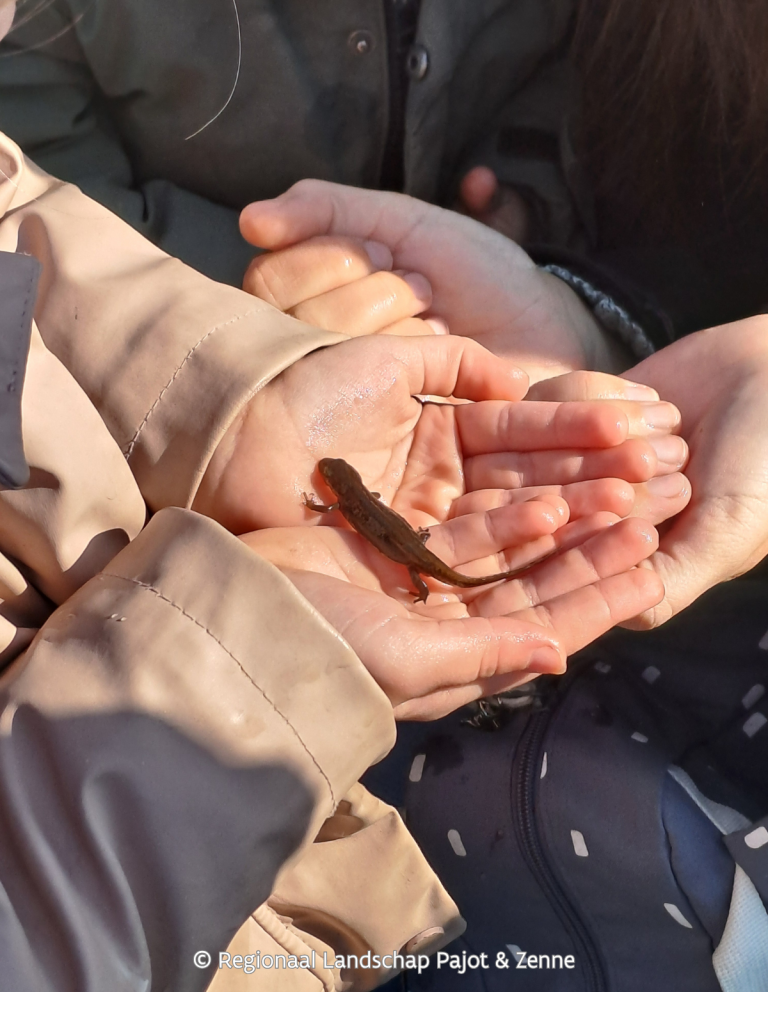 © Regionaal Landschap Pajot & Zenne