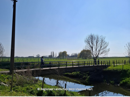 Water- en landschapswandeling Baliekouter