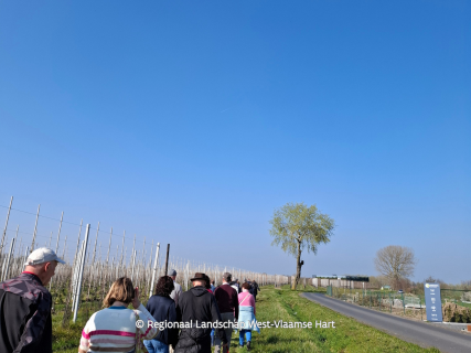 Water- en landschapswandeling Baliekouter